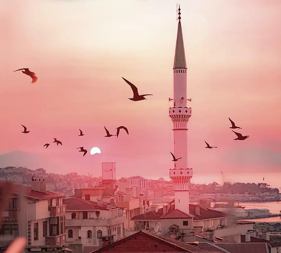 Hale Abla Apart Evleri Trabzon